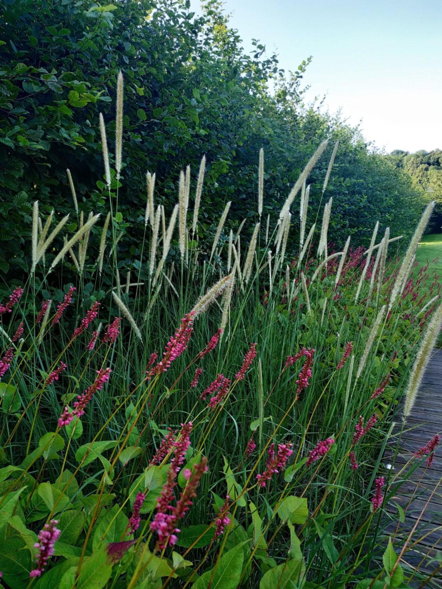 Seinebnb - Gite A La Campagne - Honfleur Conteville  Exterior photo